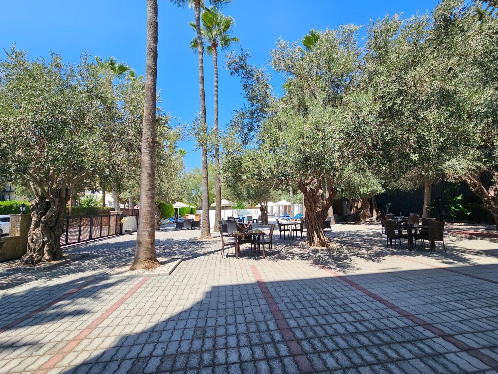 Park Palace Hotel Kirenia Zewnętrze zdjęcie