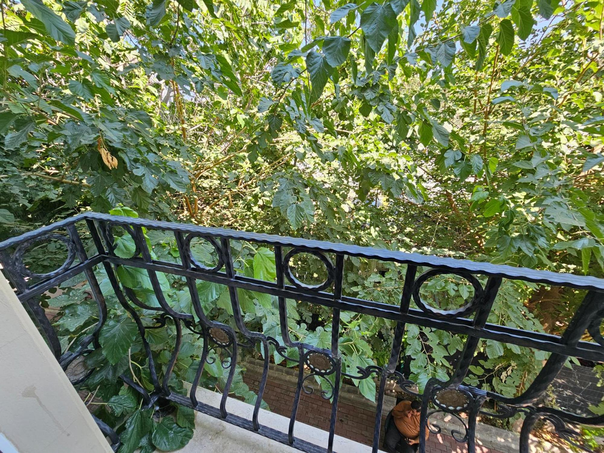 Park Palace Hotel Kirenia Zewnętrze zdjęcie